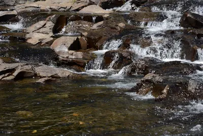 DSC_3590 (Large).JPG